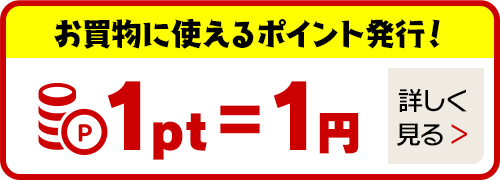 お買い物に使えるポイント発行！1ポイント1円でご利用可能です。詳しくはこちら